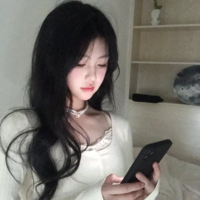 紫禁秘录